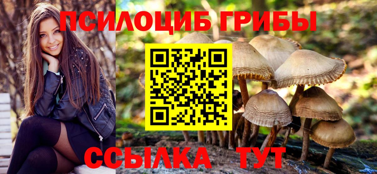 Галлюциногенные грибы Psilocybine cubensis  Вход с VPN  Советск 